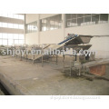 fruit and vegetable sorting machine